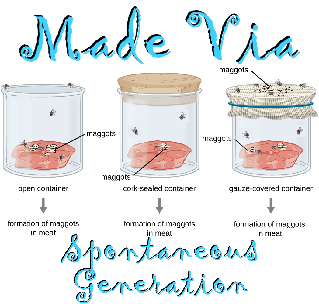 Made Via Spontaneous Generation Mug